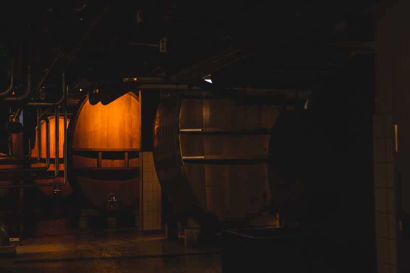 SFT-momoemuseum-2.jpg