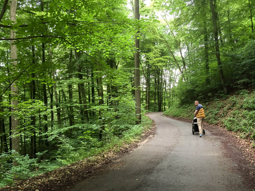 SFTJul2020_Ellen_aussichtsturm-1.jpg