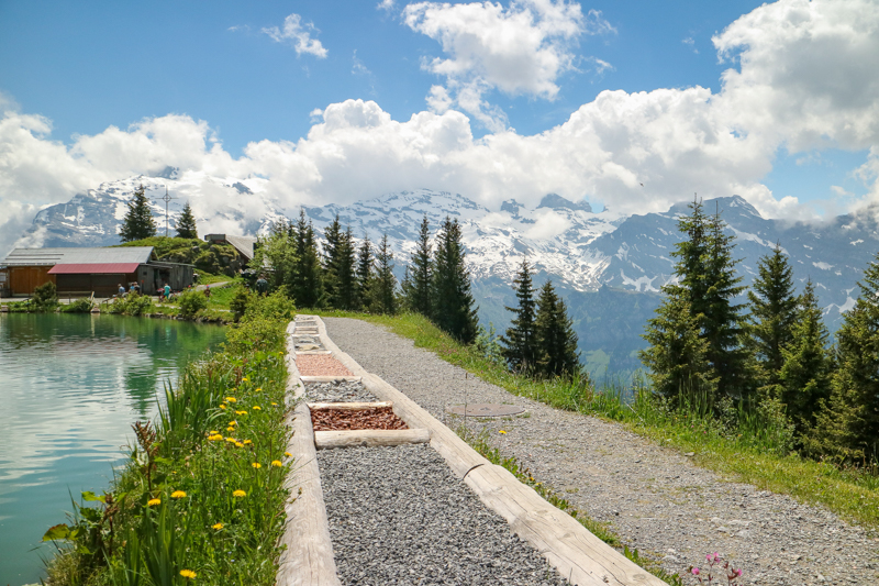 Your reward for making it up to Härzlisee, amazing views and a tickel trail or as I call it - wellness for your feet.