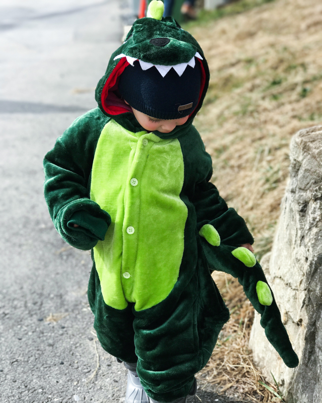 Keeping warm is important. This cute Dinosaur costume did the job well.