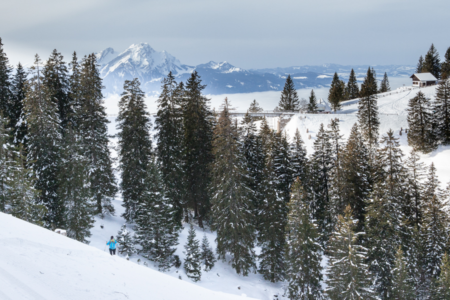 Winter hiking on the Rigi, a great alternative to Skiing.
