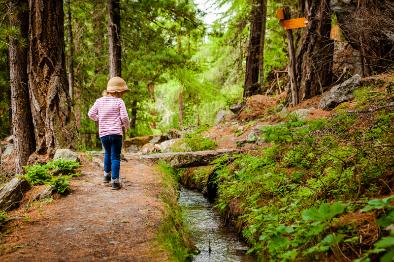 Walking along the irrigation channels in Grächen
