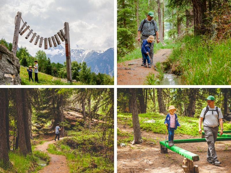 Hiking through the forest of Grächen
