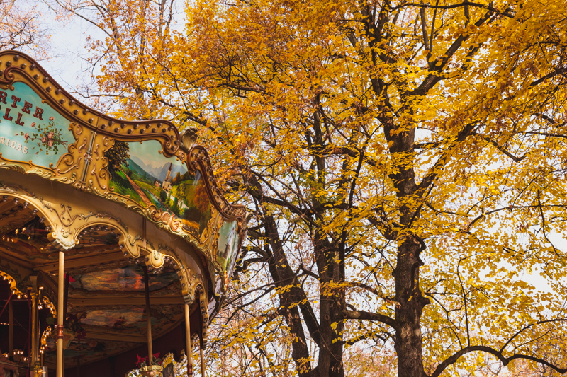 Carousel on Petersplatz