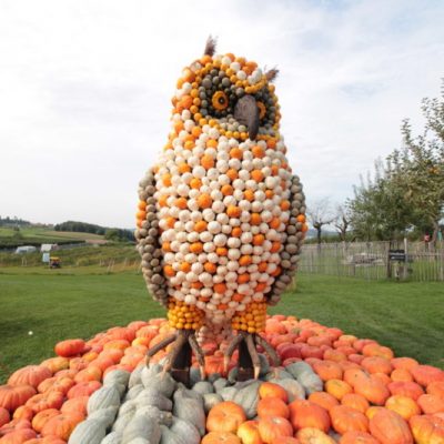 Photo provided kindly by Jucker Farm