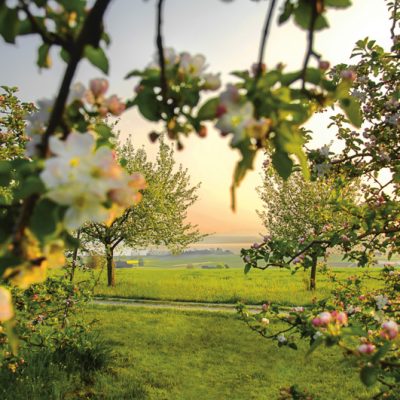 Image provided by Thurgau Tourism