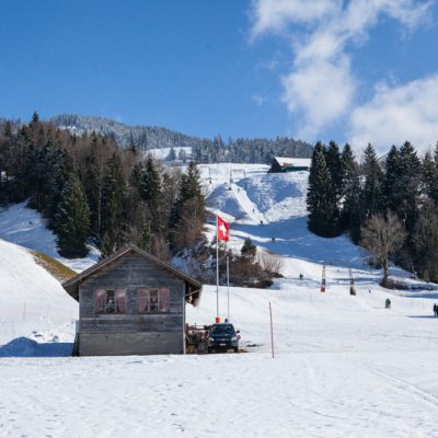 SFTneusell-4.jpg